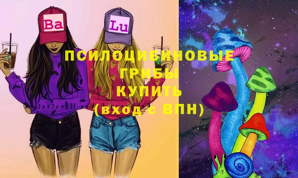 твердый Костерёво