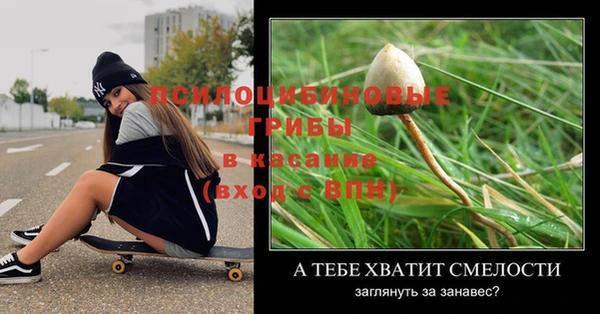 твердый Костерёво