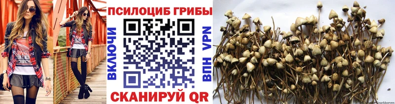 сколько стоит  Костомукша  Галлюциногенные грибы Psilocybe 